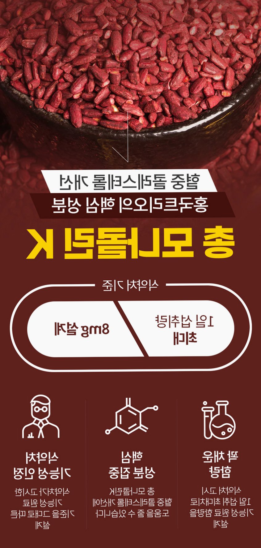 홍국트리오 메가 중성지방 콜레스테롤 낮추는 HDL LDL 홍국영양제 60정, 1개