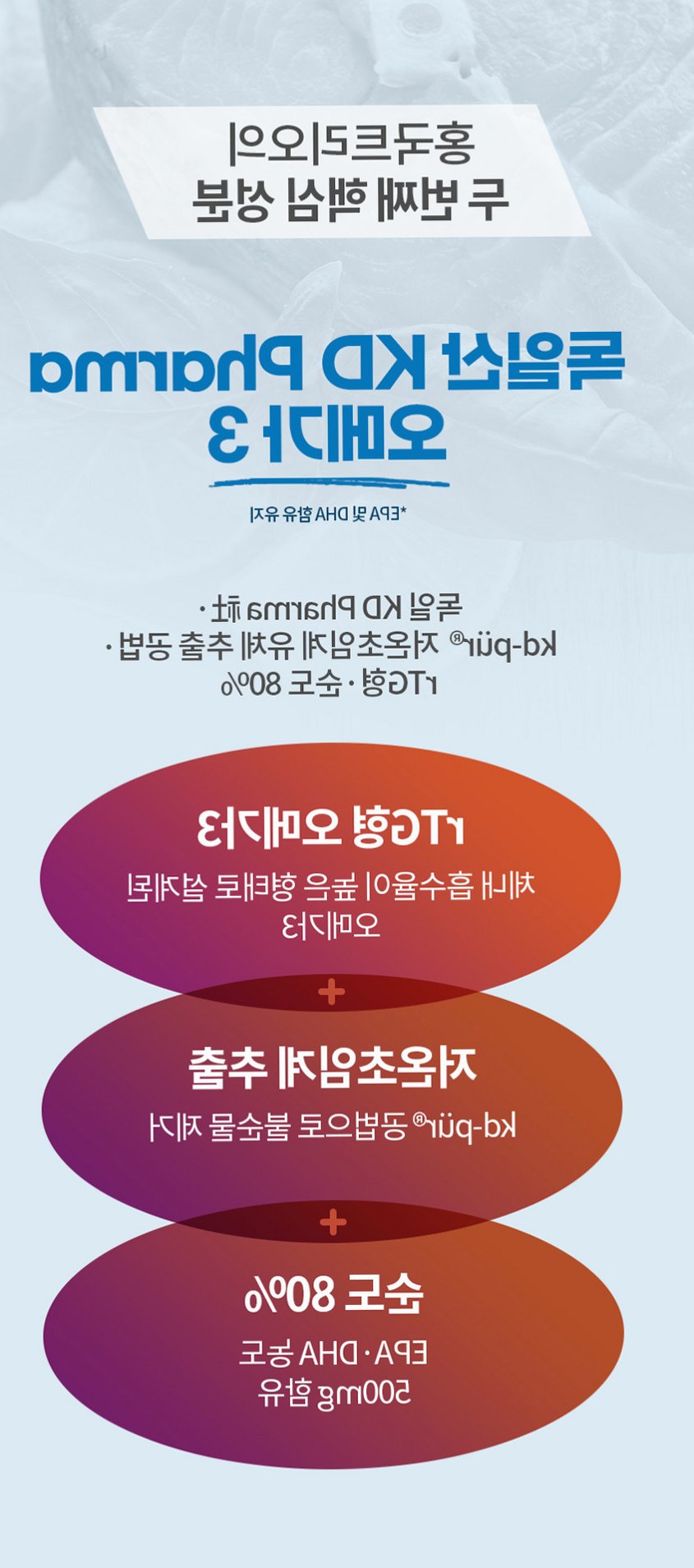 홍국트리오 메가 중성지방 콜레스테롤 낮추는 HDL LDL 홍국영양제 60정, 1개