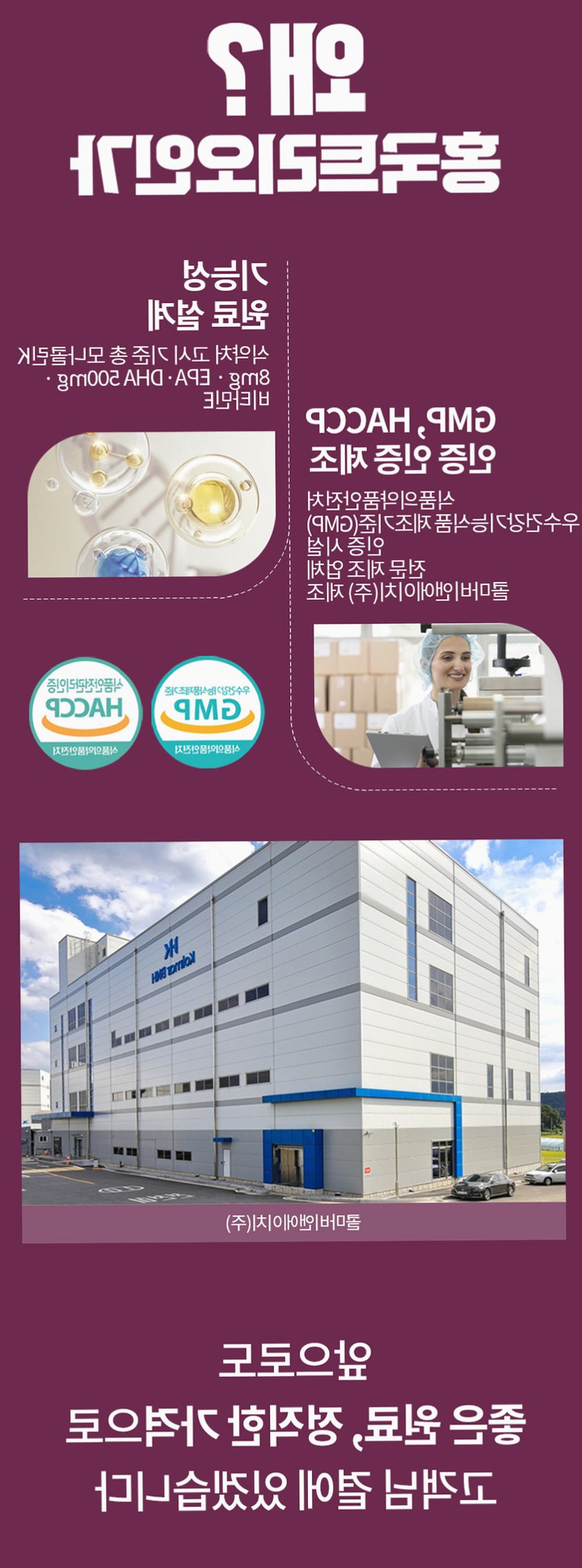 홍국트리오 메가 중성지방 콜레스테롤 낮추는 HDL LDL 홍국영양제 60정, 1개